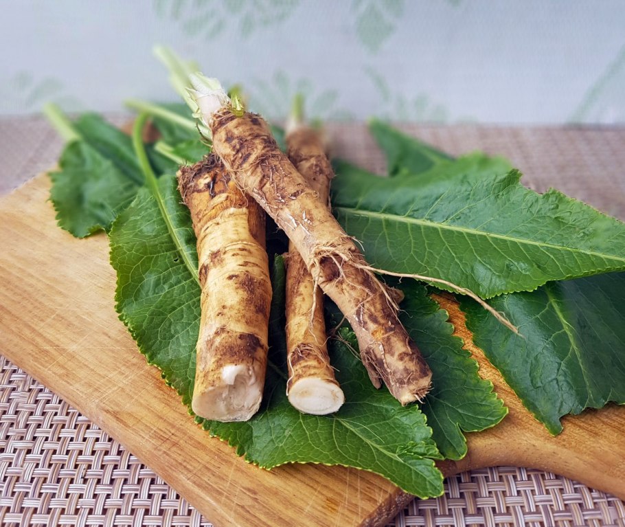 Хрен обыкновенный