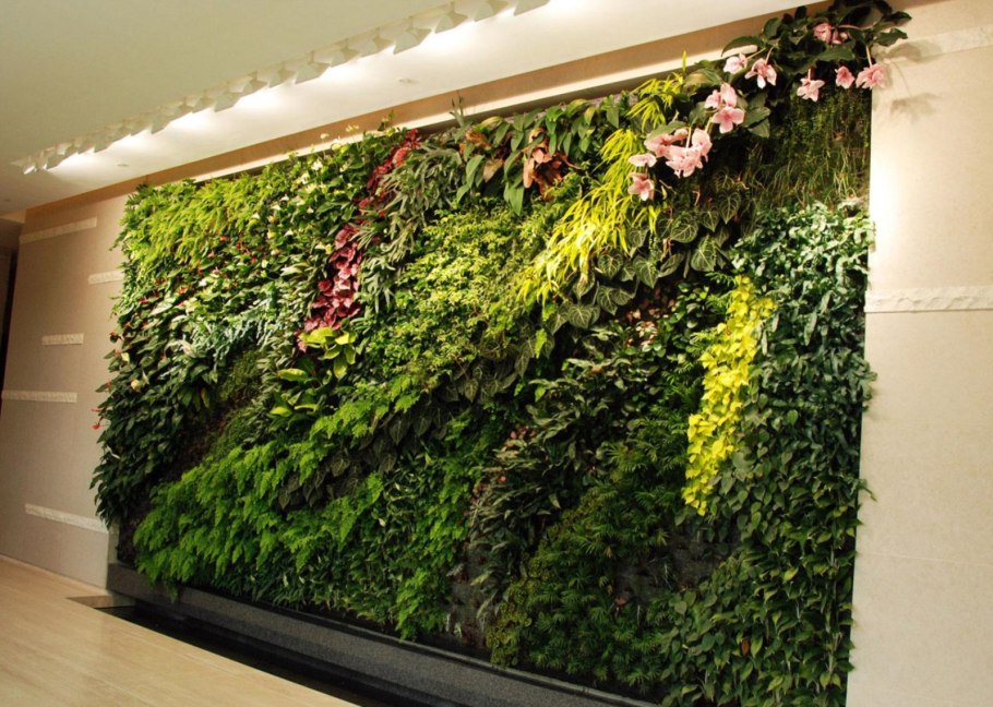 Лиана Грин вертикальное Озеленение