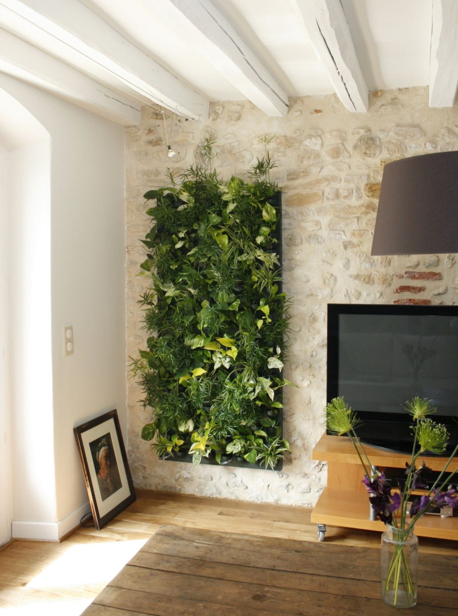 Фитостена вертикальное Озеленение