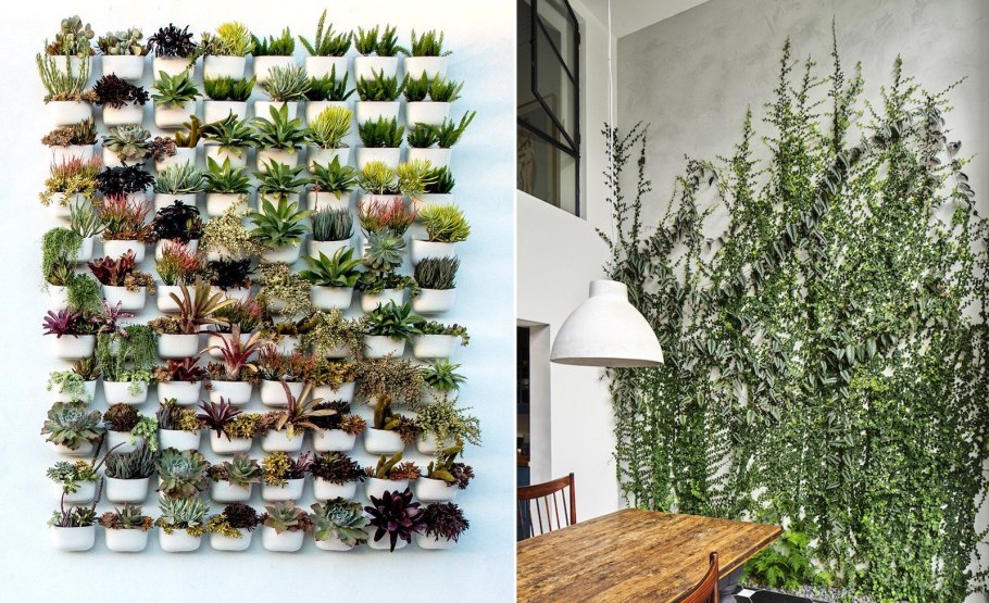 Стена из цветов в квартире