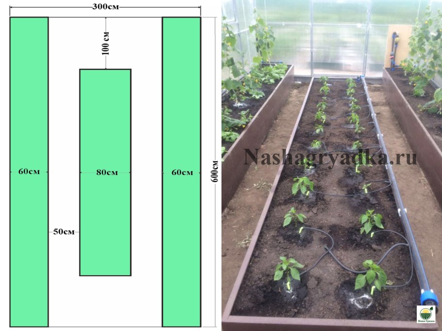 Расположение грядок в теплице 3х4