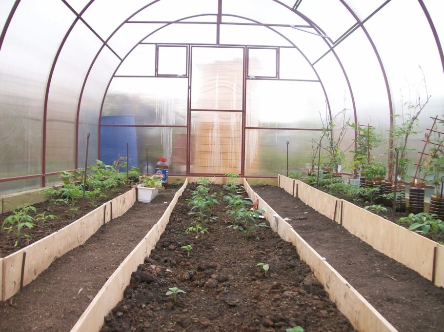 Планировка теплицы 3х8