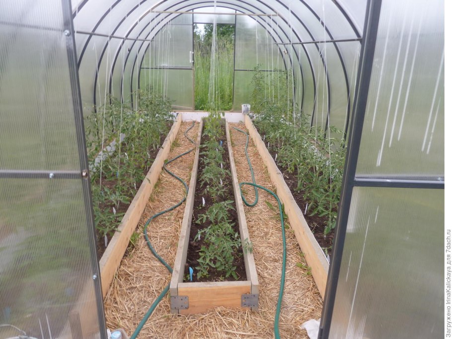 Грядка для огурцов в теплице 3х6