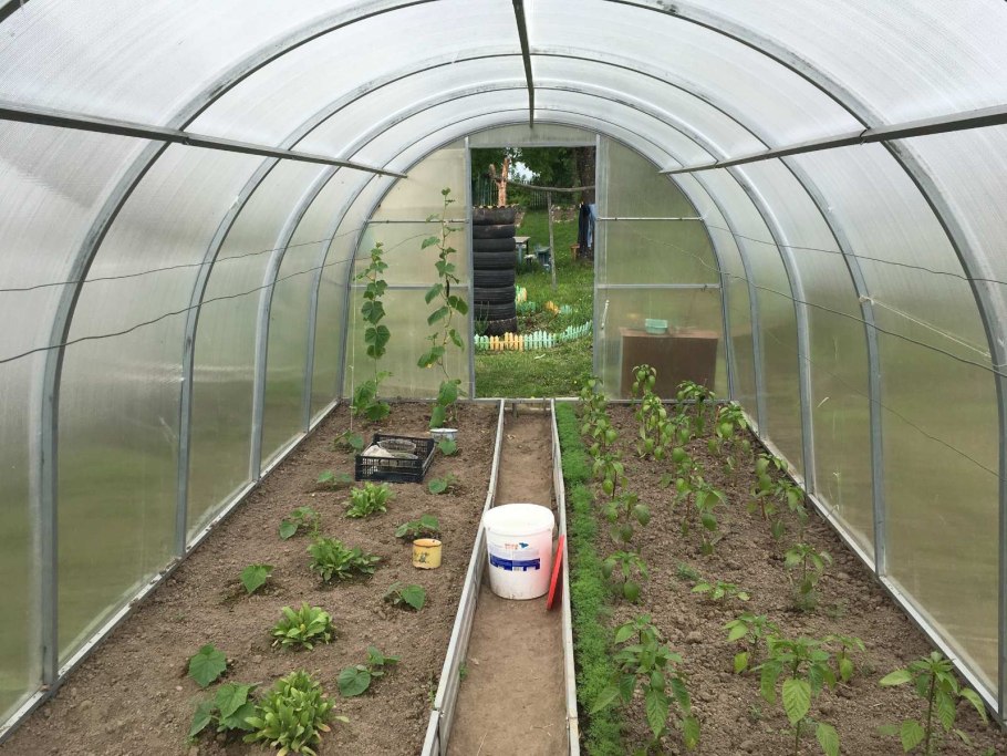 Расположение грядок в теплице Мария Делюкс