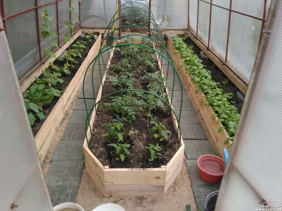 Грядки в теплице 3х4