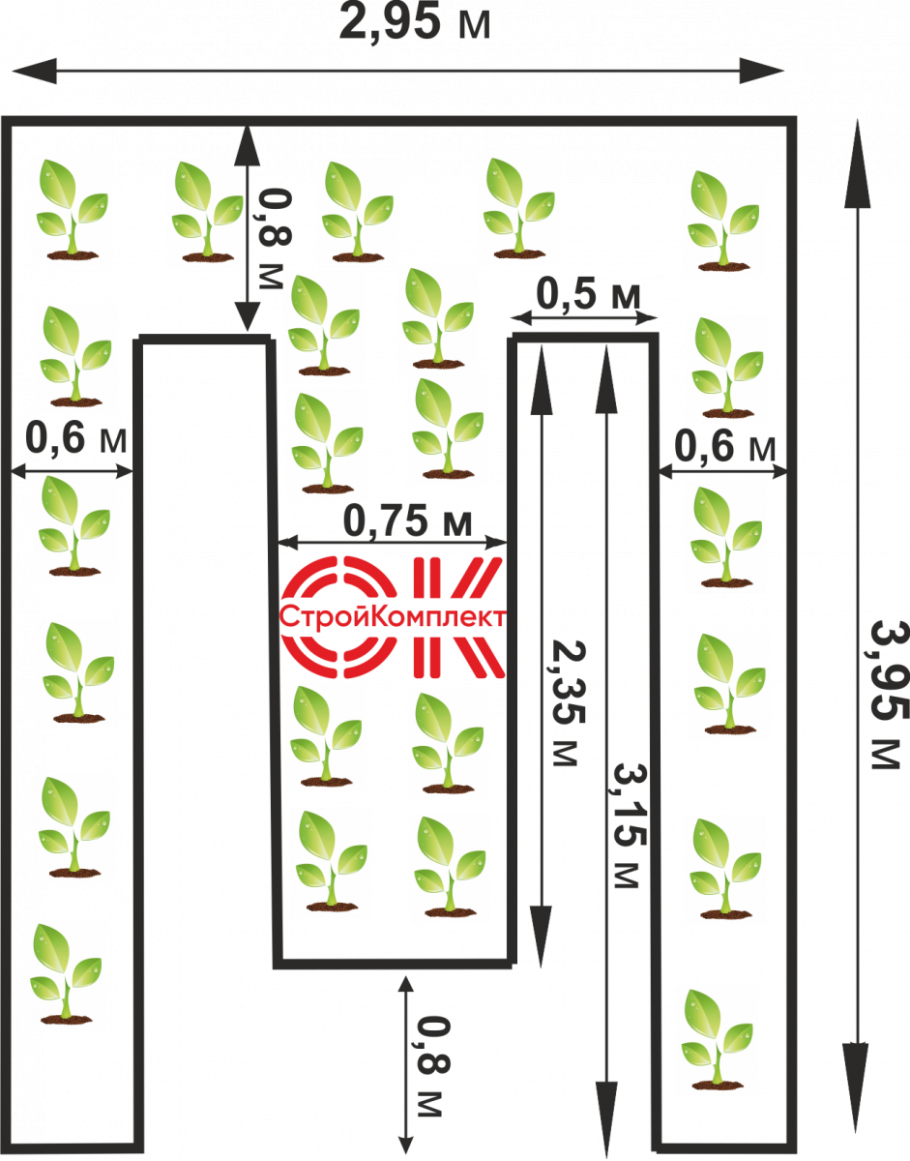 Схема размещения грядок в теплице 3х4