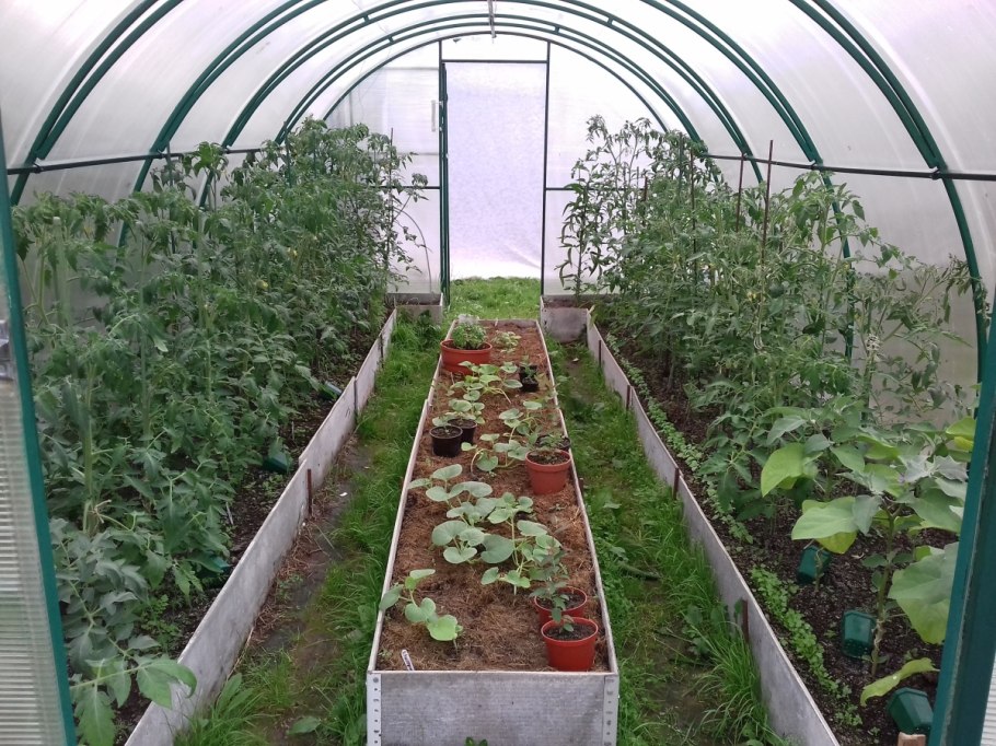 Ширино Тульская область теплицы