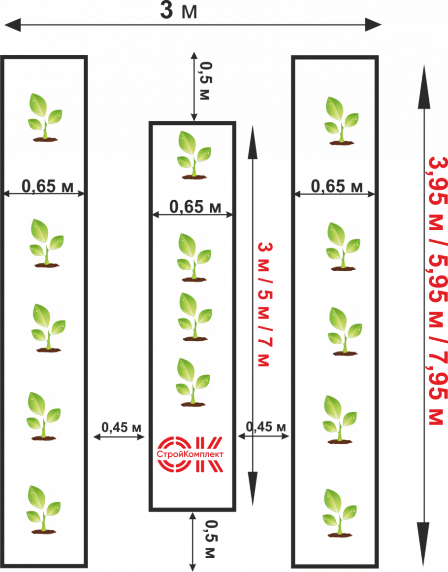 Схема грядок в теплице 3х6 в три ряда