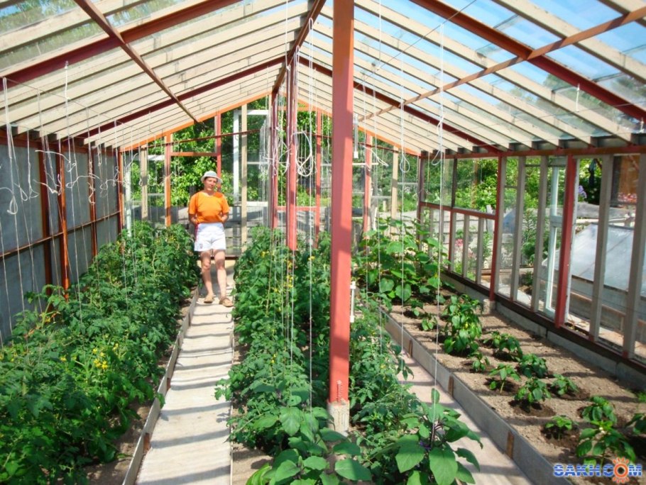 Обустройство теплицы внутри