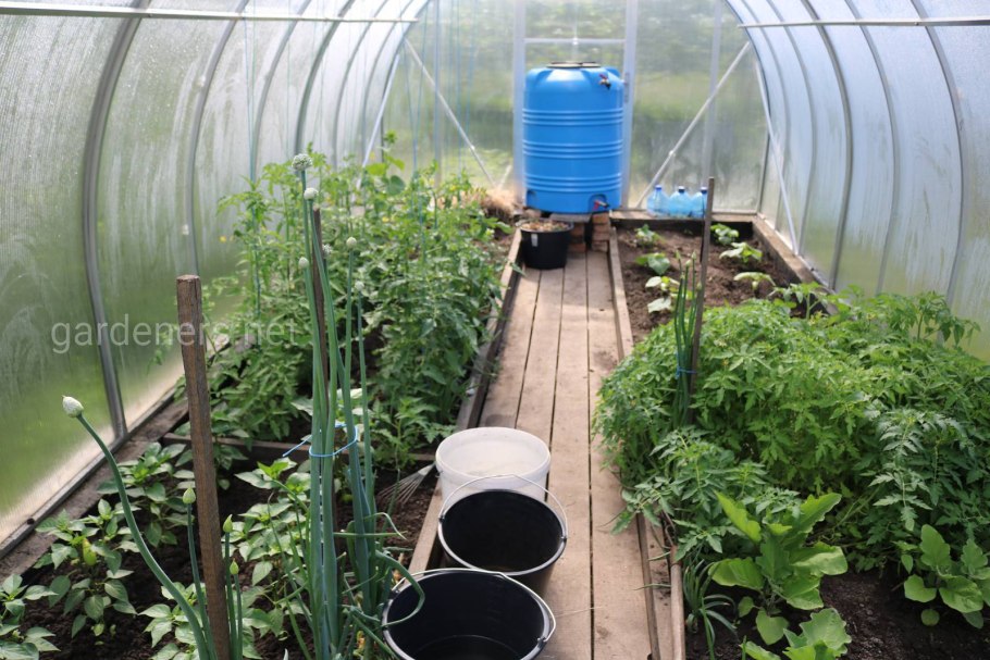 Теплица 3м грядки внутри