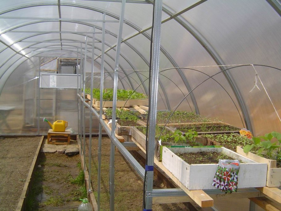 Теплица с полками