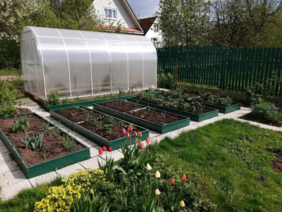 Огород с теплицей и грядками
