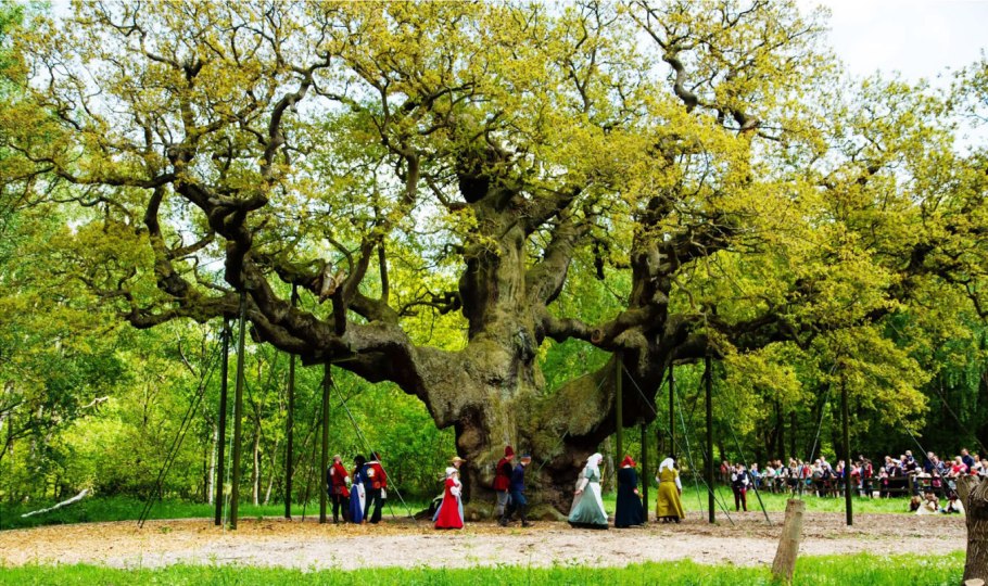 Клайвден (Англия) парк