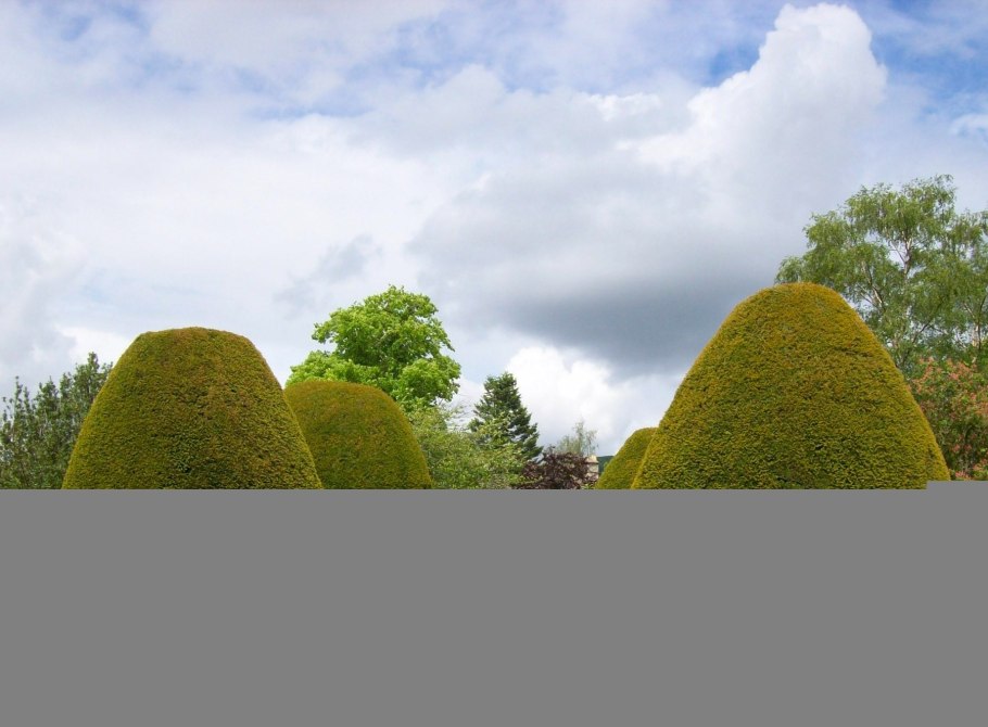 Кэрсивин Ирландия лес