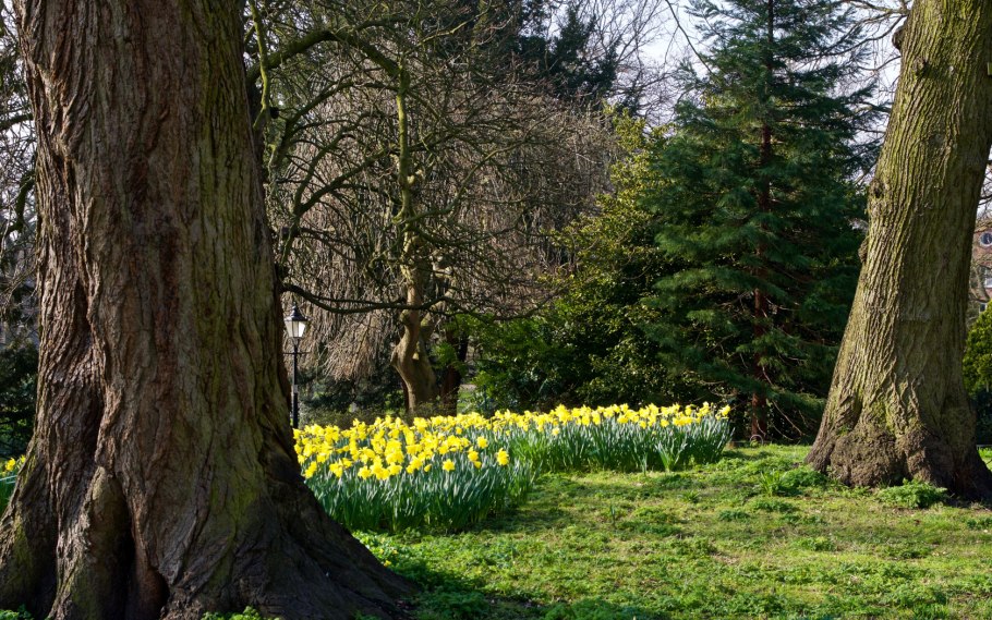 Шеффилд парк Англия