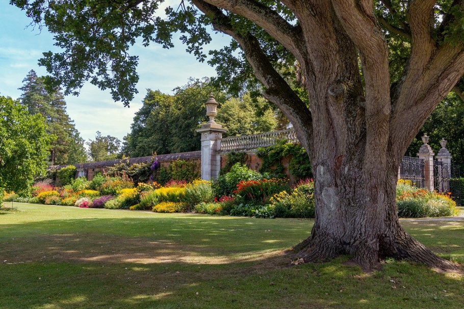 Аллеи деревья Англия