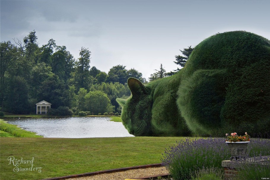 Монетные деревья в Шотландии