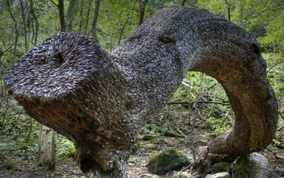 Ноттингем Шервудский лес