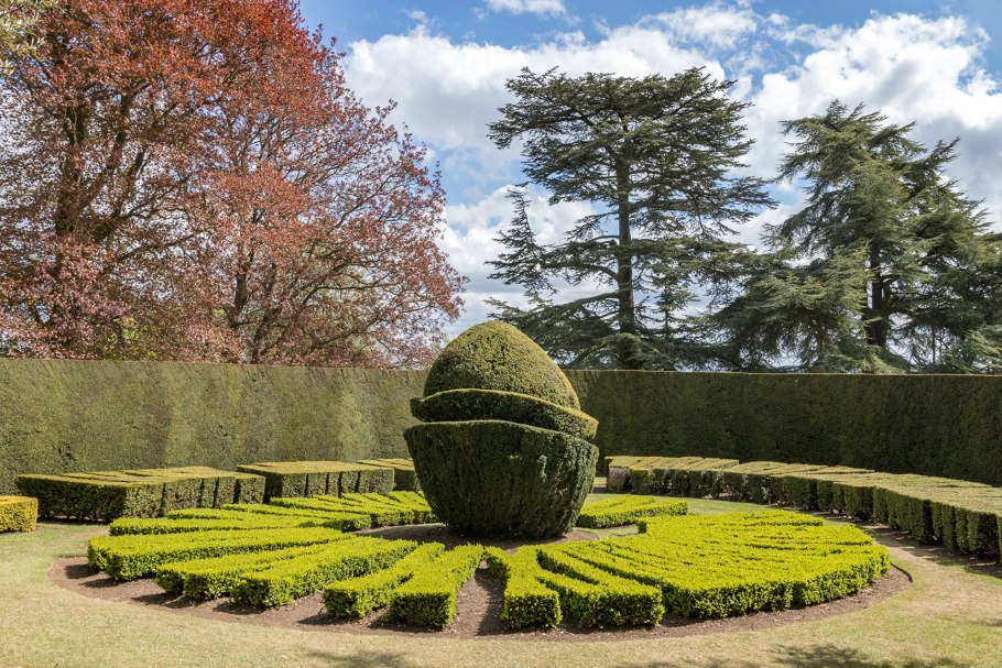 Шервудский лес дерево