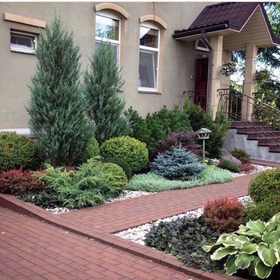 Хвойный рокарий миксбордер