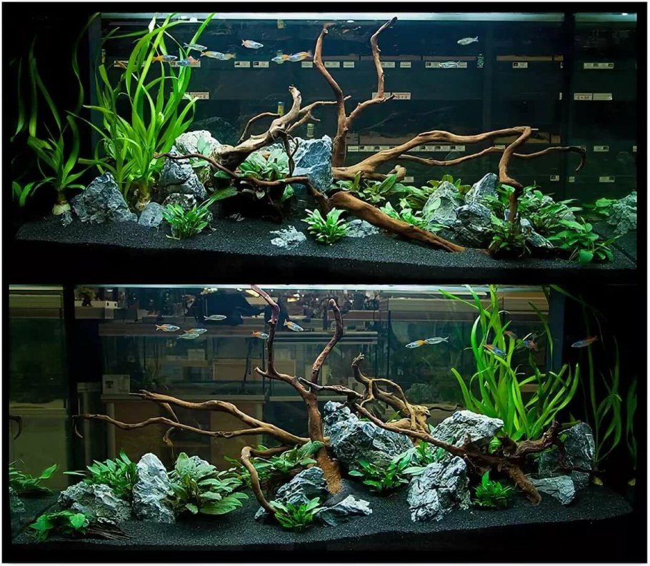 Азалия акваскейп хардскейп