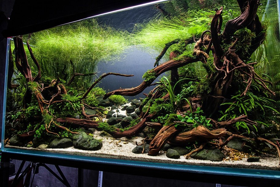 Акваскейп Логово химер