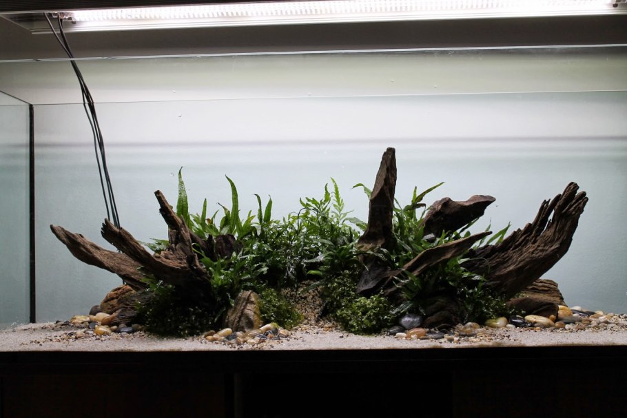 Акваскейп ada