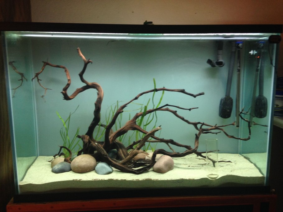 Аквариум биотоп коряги и камни