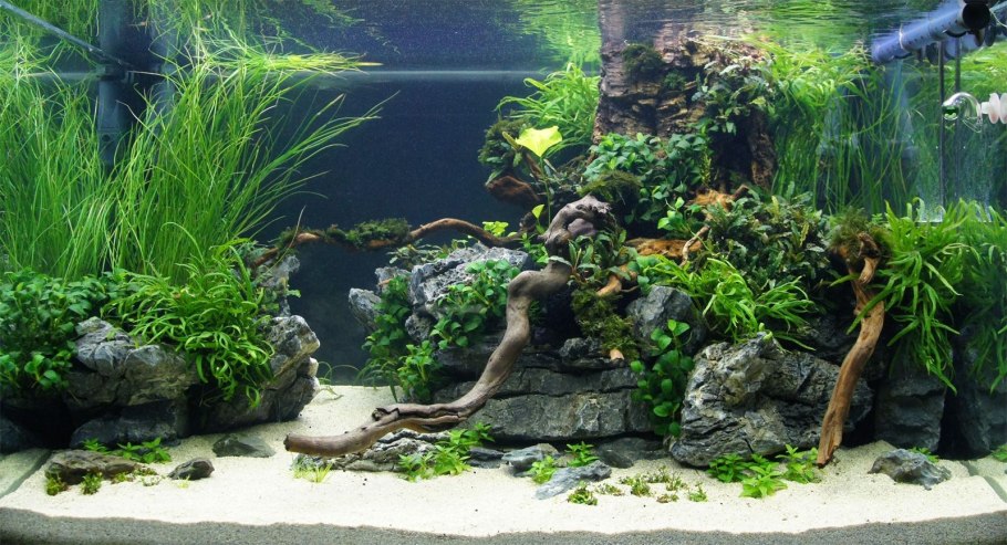 Медленный травник акваскейп