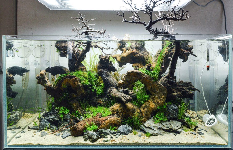 Акваскейп Амазония