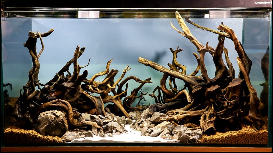 Акваскейп с корягами и камнями
