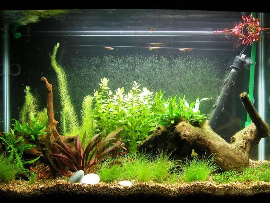 Коряга для аквариума