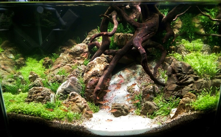 Аквариум с корягой и камнями