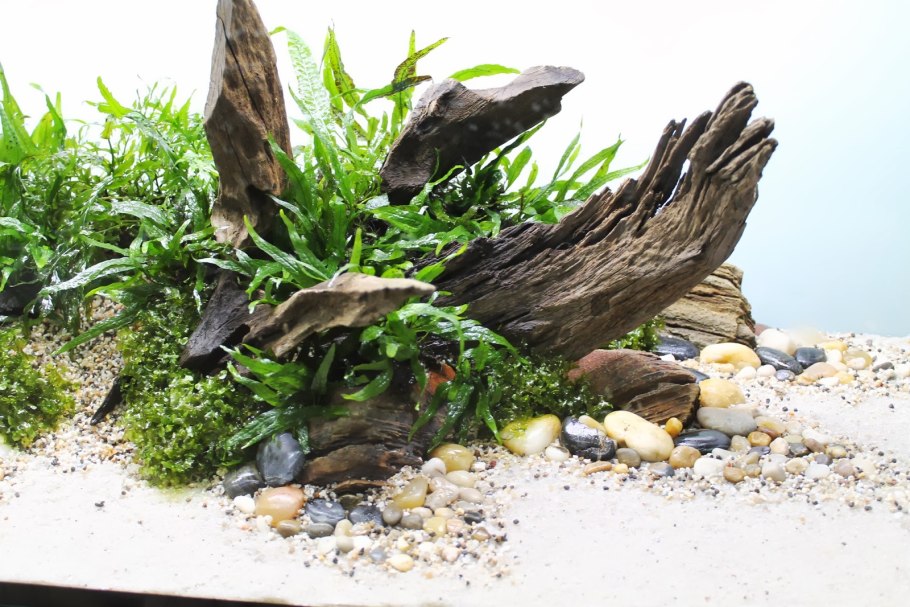 Хардскейп с корягами