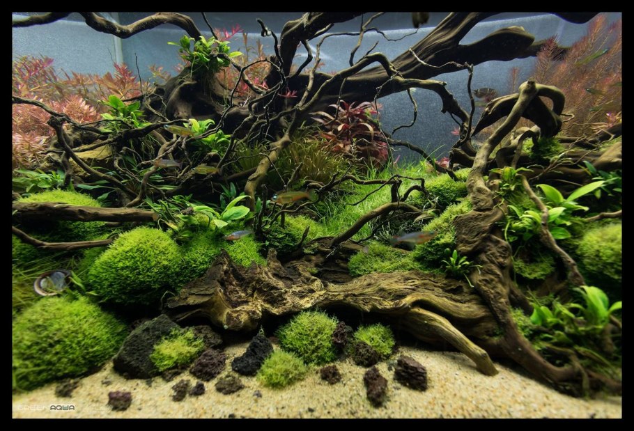 Акваскейп аквариум 5 литров