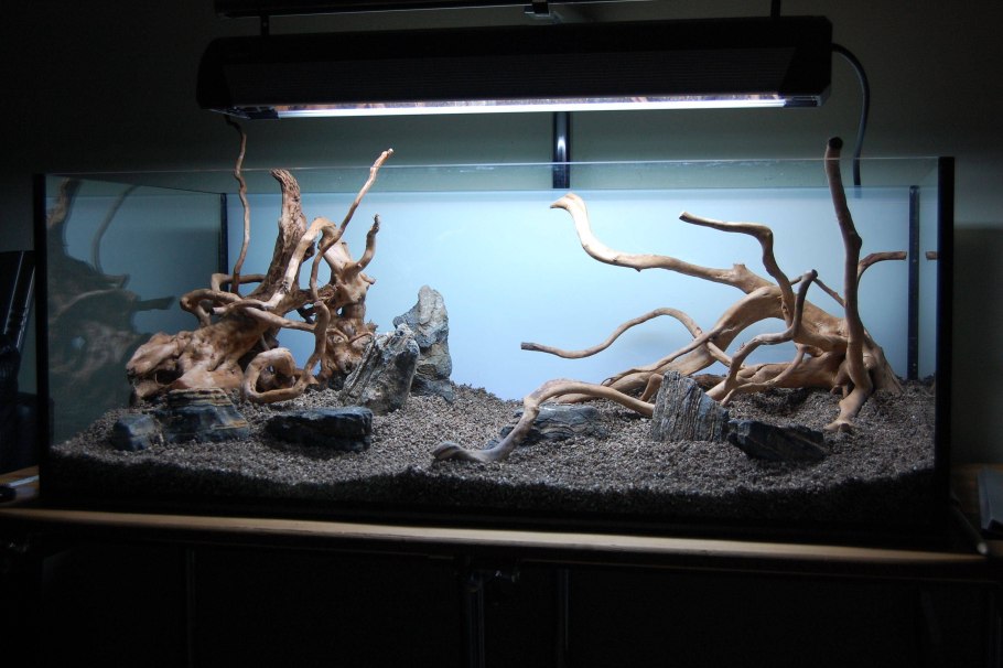 Акваскейп с корягами и камнями