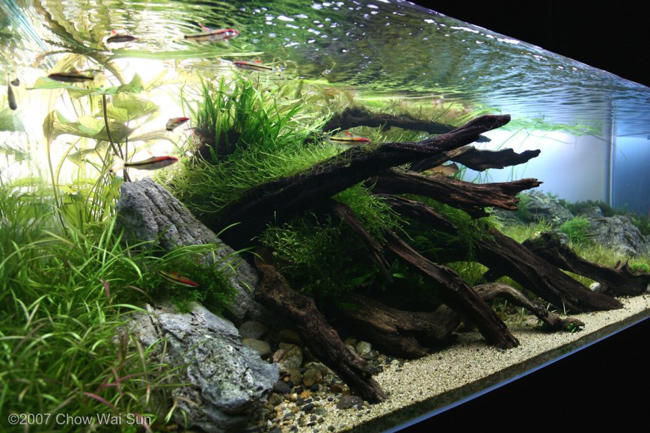 Коряга для аквариума