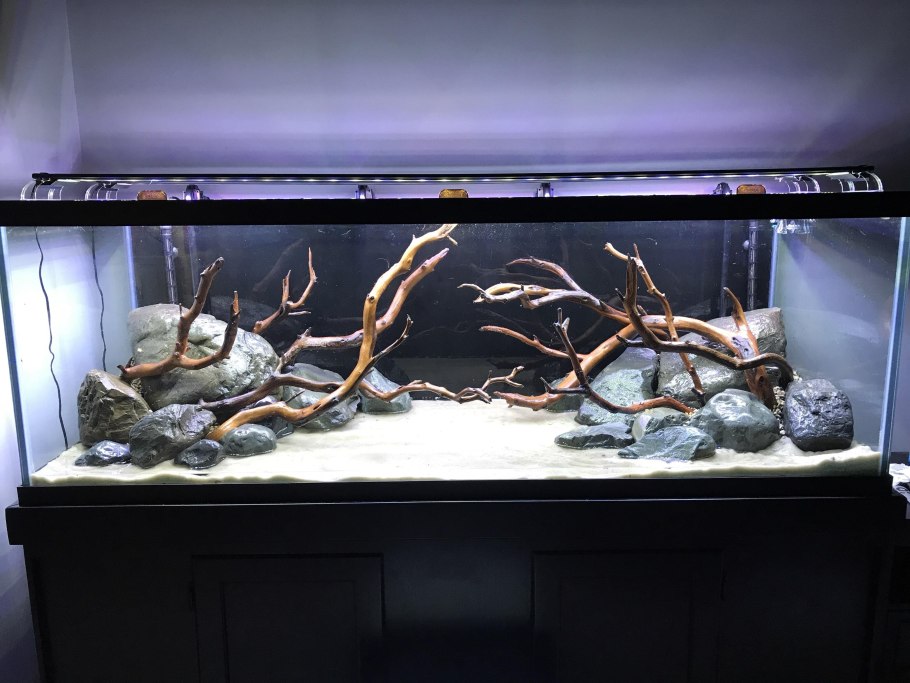 Акваскейп хардскейп