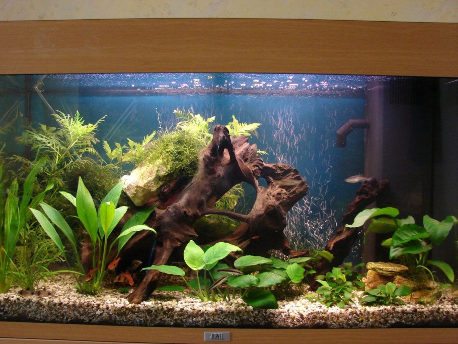 Коряга для аквариума