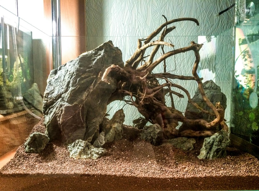 Аквариум с корягой и камнями