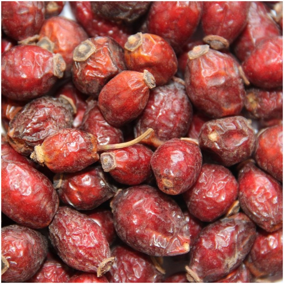 Шиповник Таджикистан