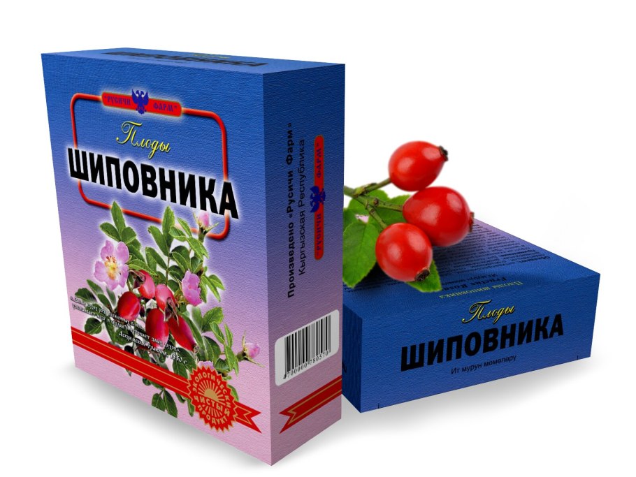 Шиповник иглистый жизненная форма