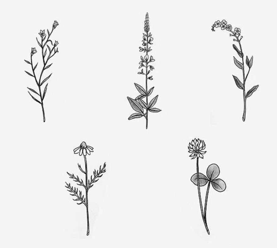 Мини тату эскизы растения