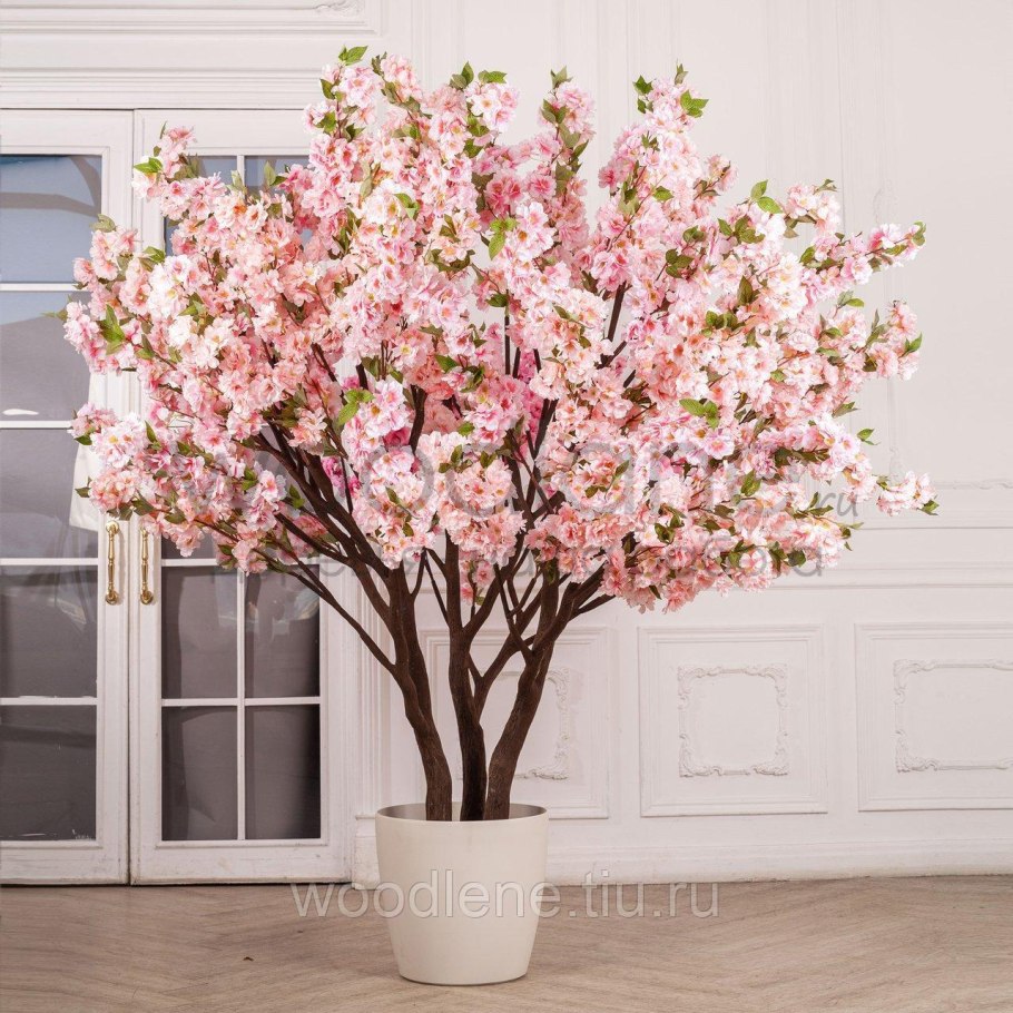 Миндаль куст