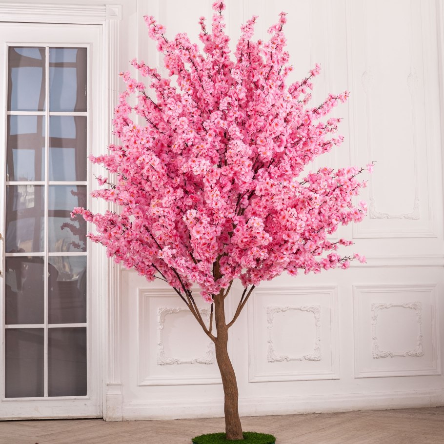 Миндаль декоративный кустарник