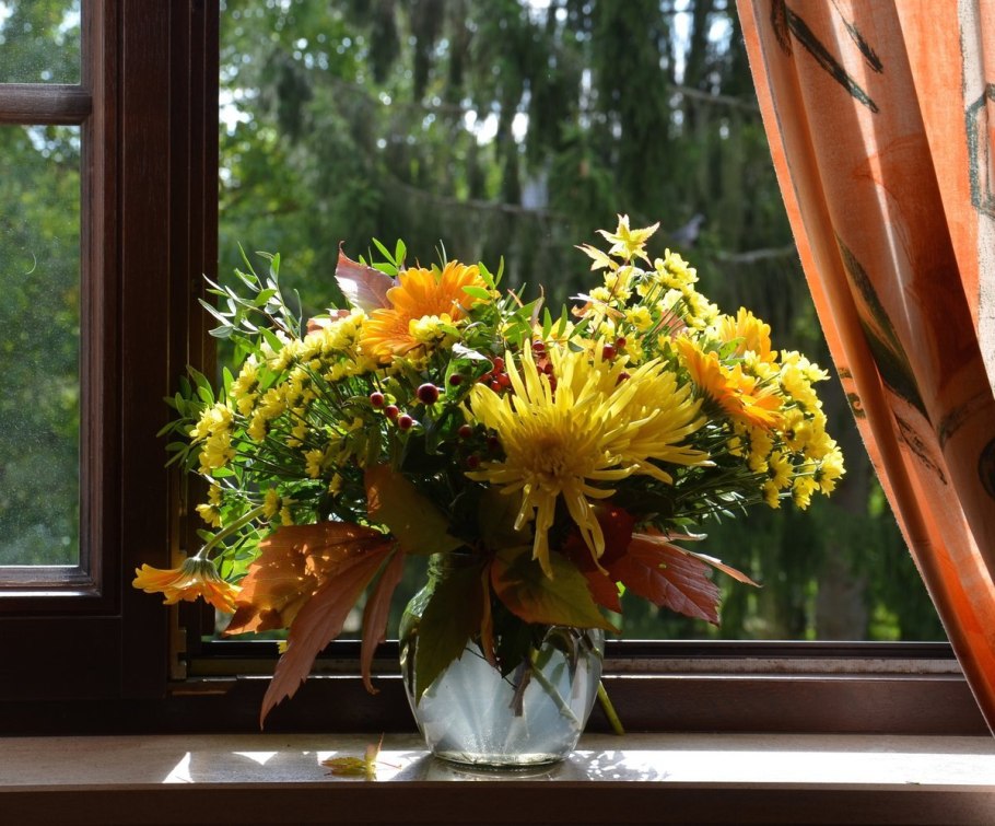 Бабье лето цветы