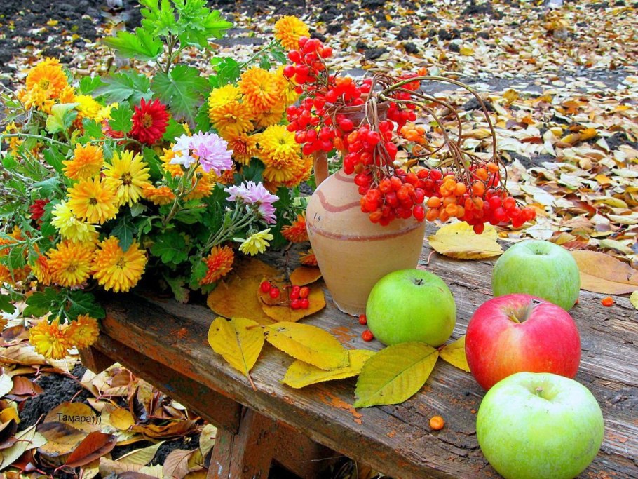 Осенний сад