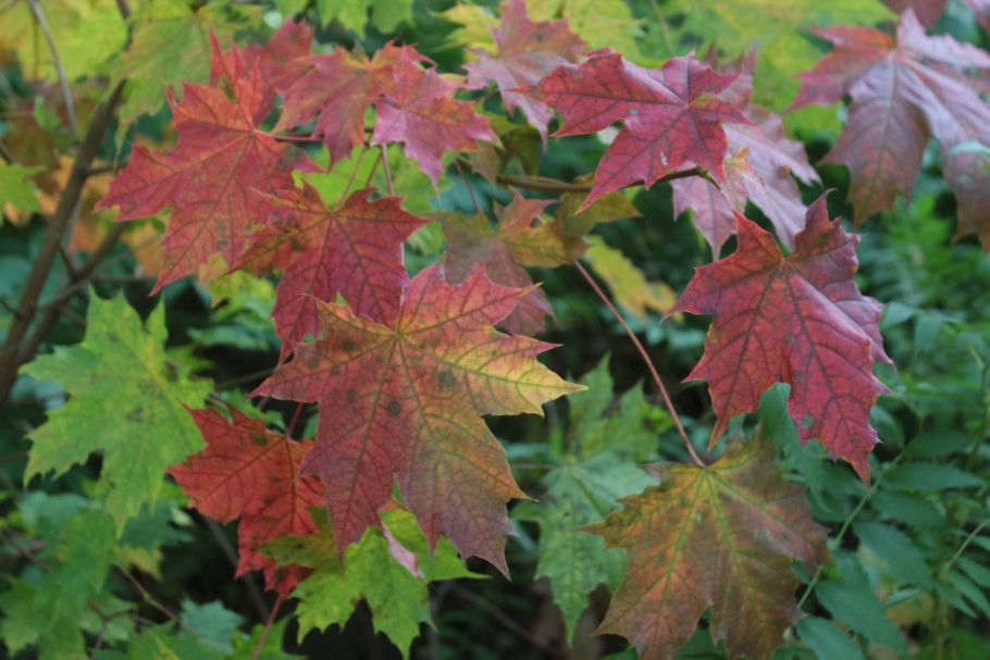 Сентябрь потом