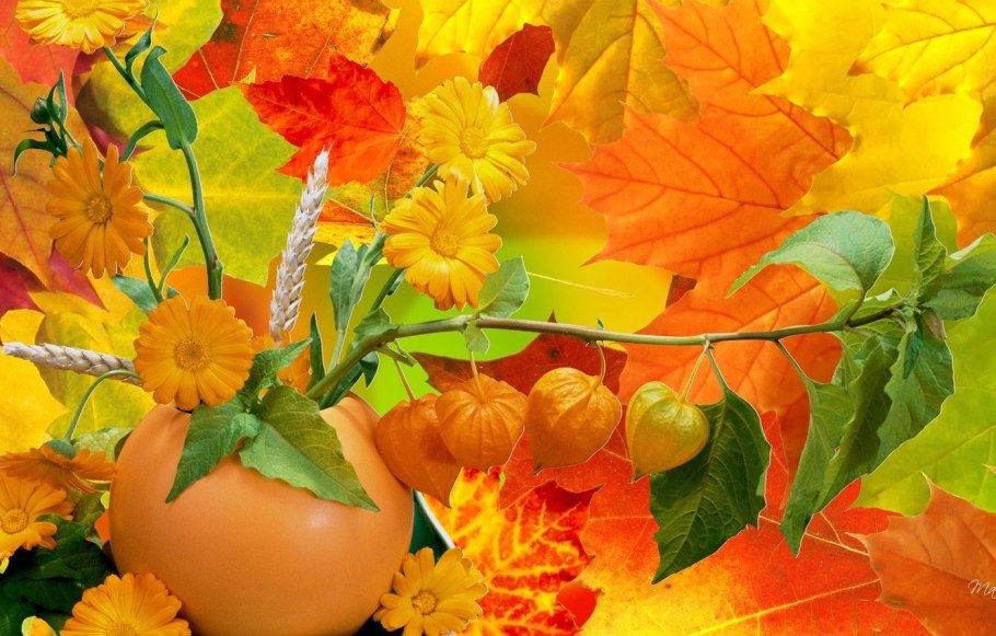 Осенний мотив