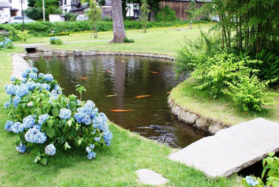 Пруд на приусадебном участке